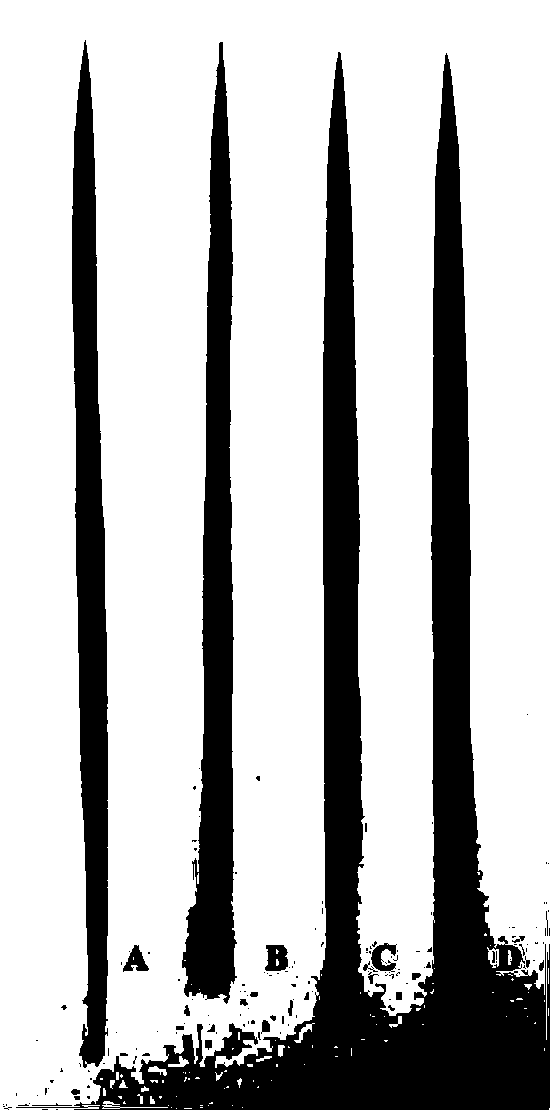 Rice genome recombinant nucleic acid fragment RecCR012612 and detection method thereof