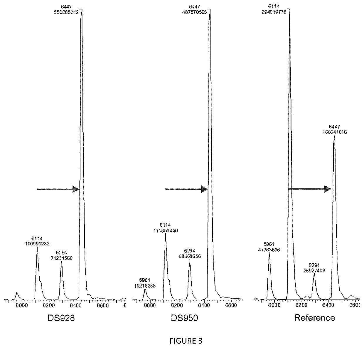 Variants of terminal deoxynucleotidyl transferase and uses thereof