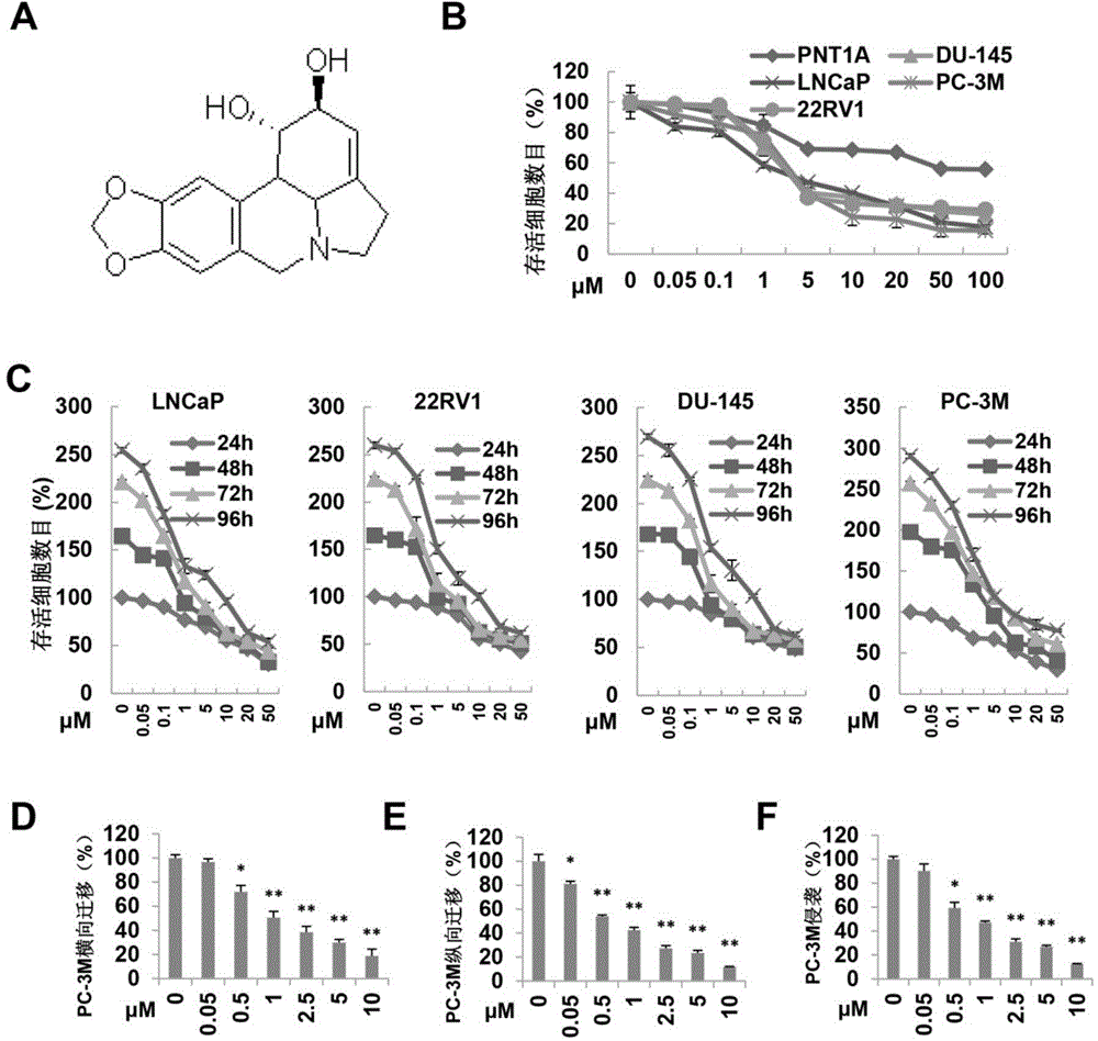 Application of Chinese medicine monomer (lycorine) to preparation of drugs for treating prostate tumors