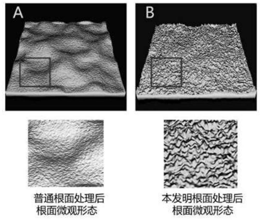 A tooth root surface treatment agent