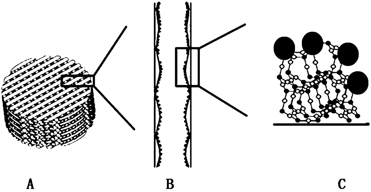 3D printed PCL-Li bone tissue engineering scaffold, and preparation method thereof