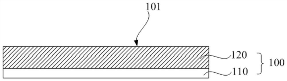 Biochip and its preparation method