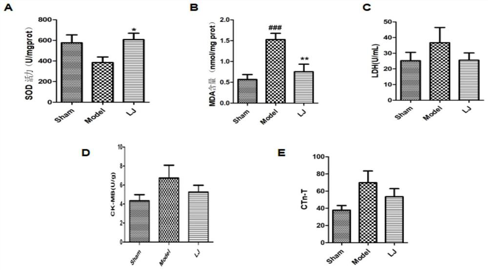 Lactobacillus johnsonii EU03 and application thereof