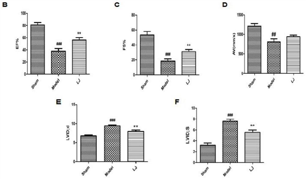 Lactobacillus johnsonii EU03 and application thereof