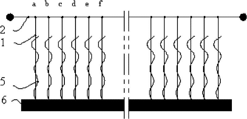 Greenhouse crop vine hanging device and crop cultivating method