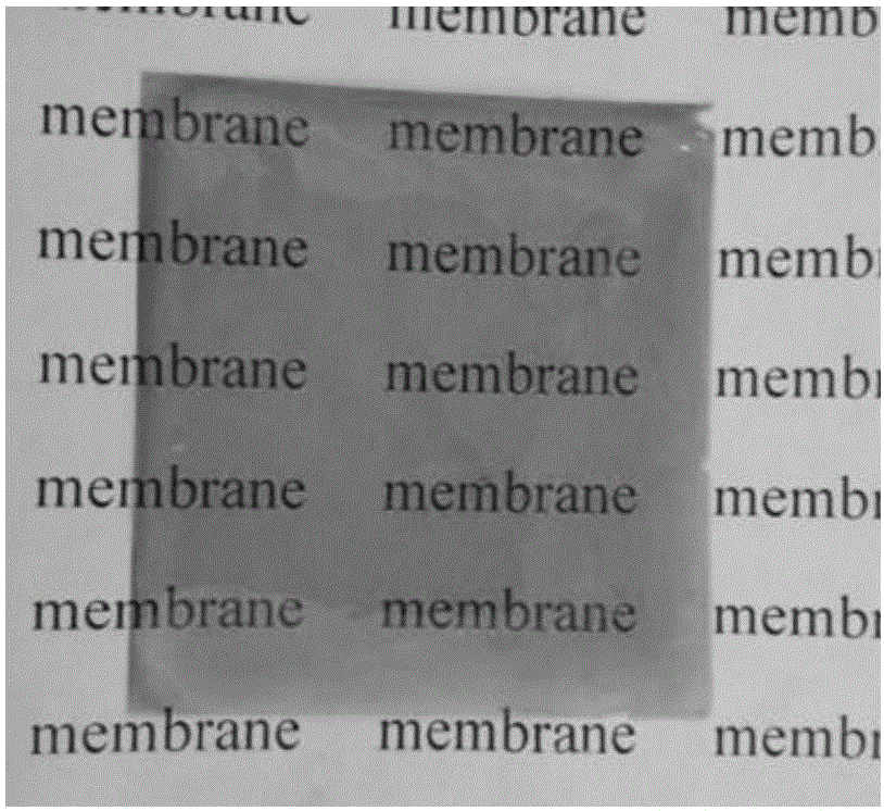 Branched side chain polymer anion exchange membrane and preparation method thereof