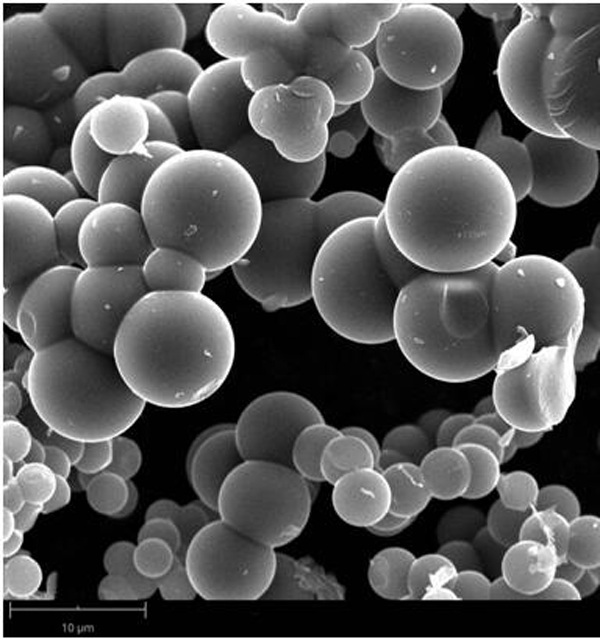 Solvent-free hydrothermal preparation method of carbon material