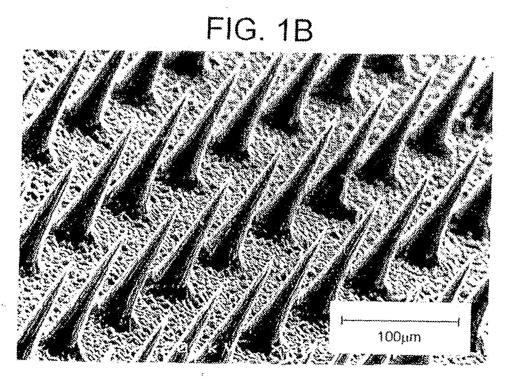 Microneedle Devices and Methods of Manufacture and Use Thereof