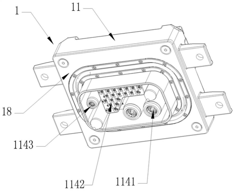 Plug and connector