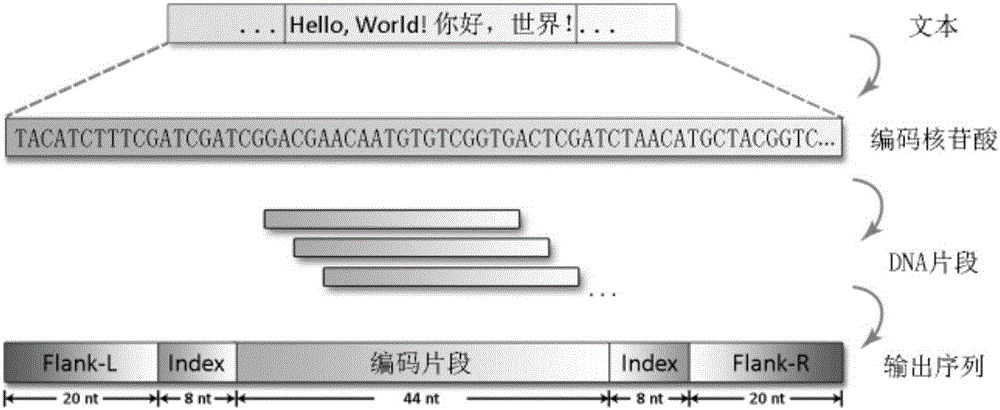 Method for information storage with DNA (Deoxyribonucleic Acid)