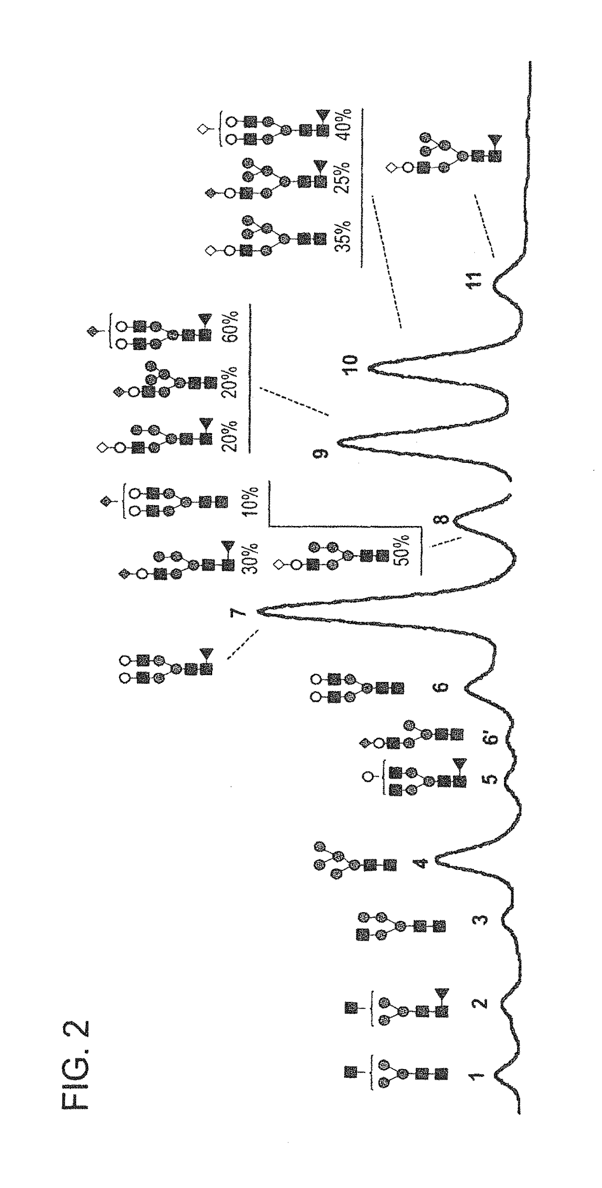 Highly galactosylated anti-TNF-α antibodies and uses thereof