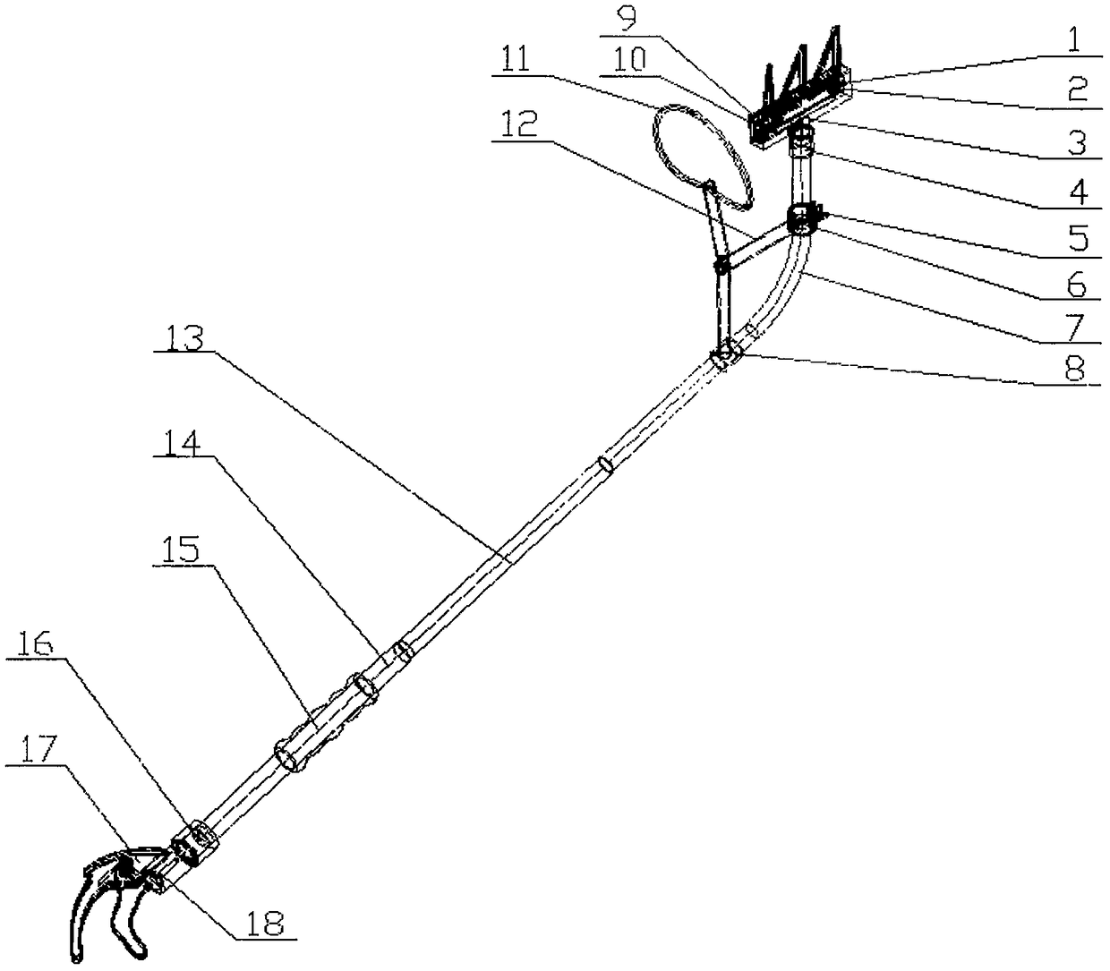 Multifunctional fruit picking and collecting device