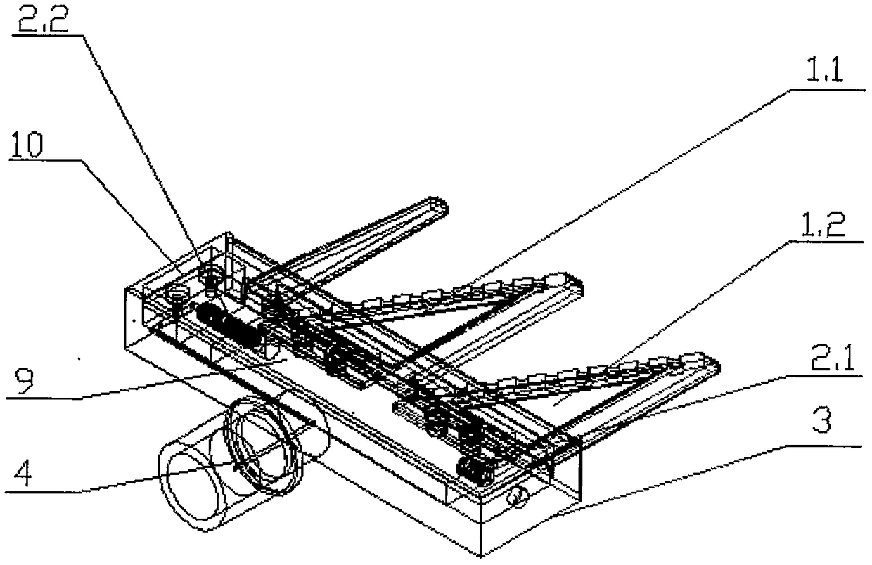 Multifunctional fruit picking and collecting device