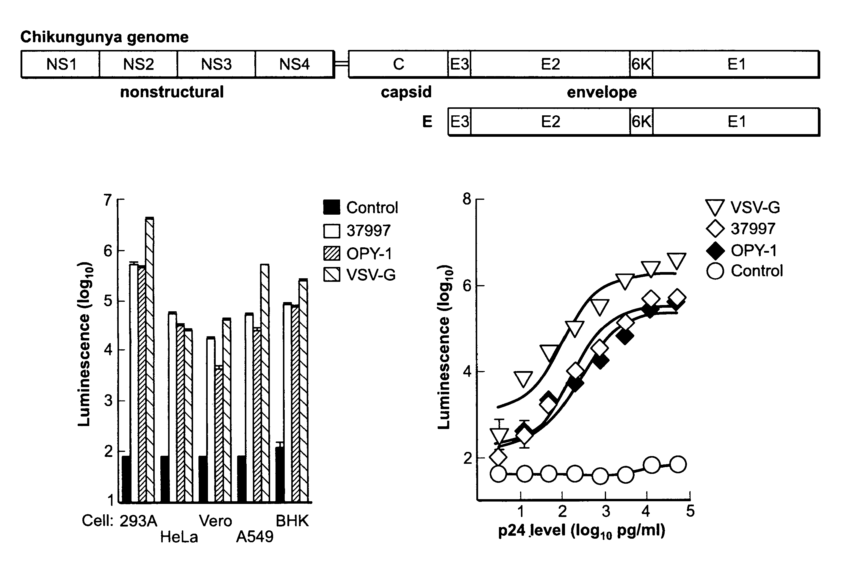 Virus-like particles (VLPs) prepared from chikungunya virus structural proteins