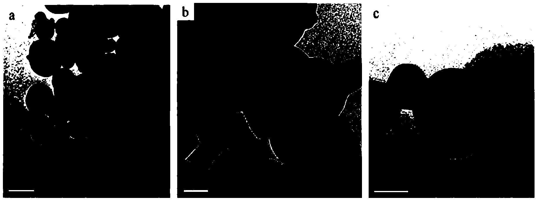 Preparation method for fluororubber cladding nanometer aluminum powder composite particles