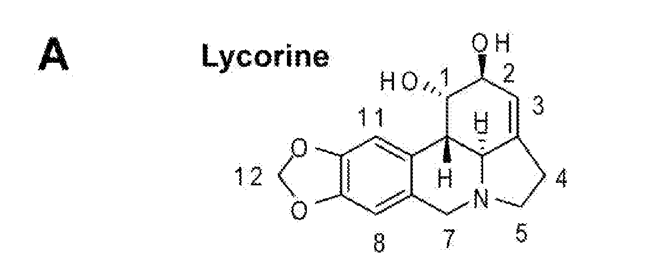 Anti-flavivirus therapeutic