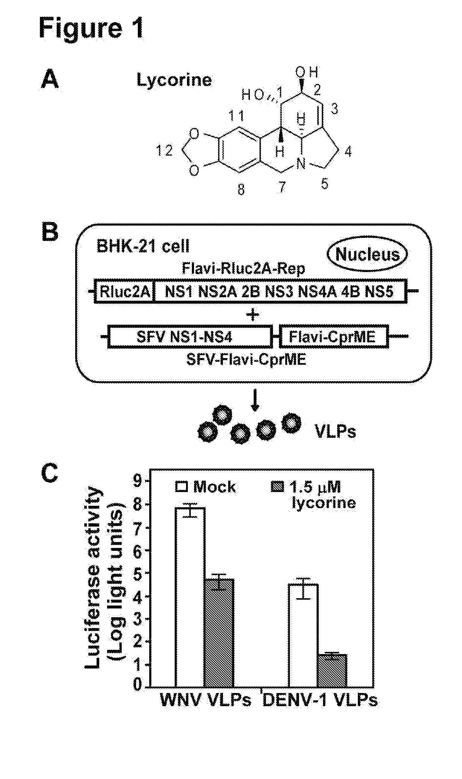 Anti-flavivirus therapeutic