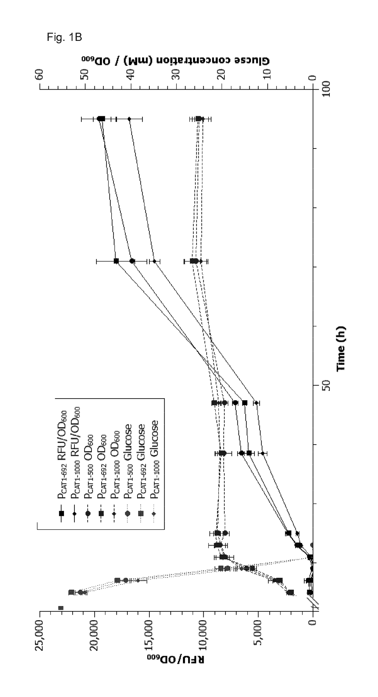 Novel episomal plasmid vectors