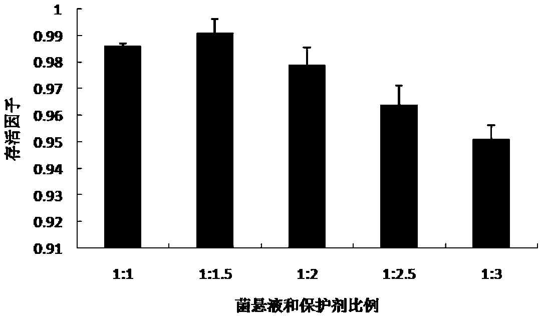 Preparation method of freeze-dried lactobacillus paracasei powder