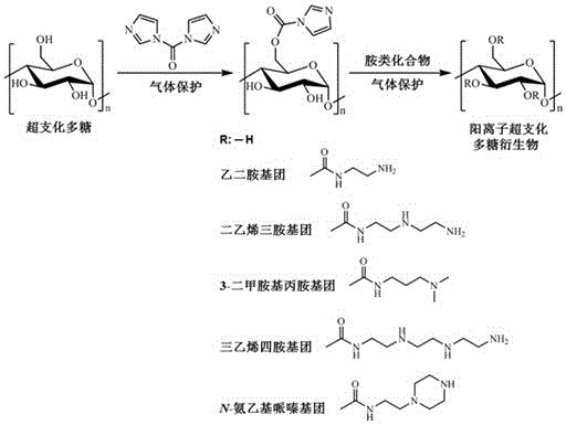 Cationic hyperbranched polysaccharide derivative and application of cationic hyperbranched polysaccharide derivative in phototoxicity improvement effect of hematoporphyrin photosensitizers on tumor cells