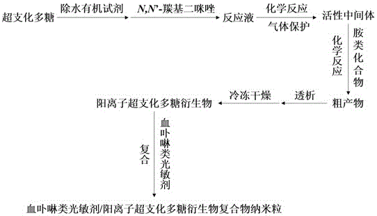 Cationic hyperbranched polysaccharide derivative and application of cationic hyperbranched polysaccharide derivative in phototoxicity improvement effect of hematoporphyrin photosensitizers on tumor cells