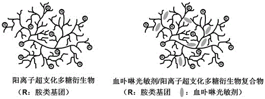 Cationic hyperbranched polysaccharide derivative and application of cationic hyperbranched polysaccharide derivative in phototoxicity improvement effect of hematoporphyrin photosensitizers on tumor cells