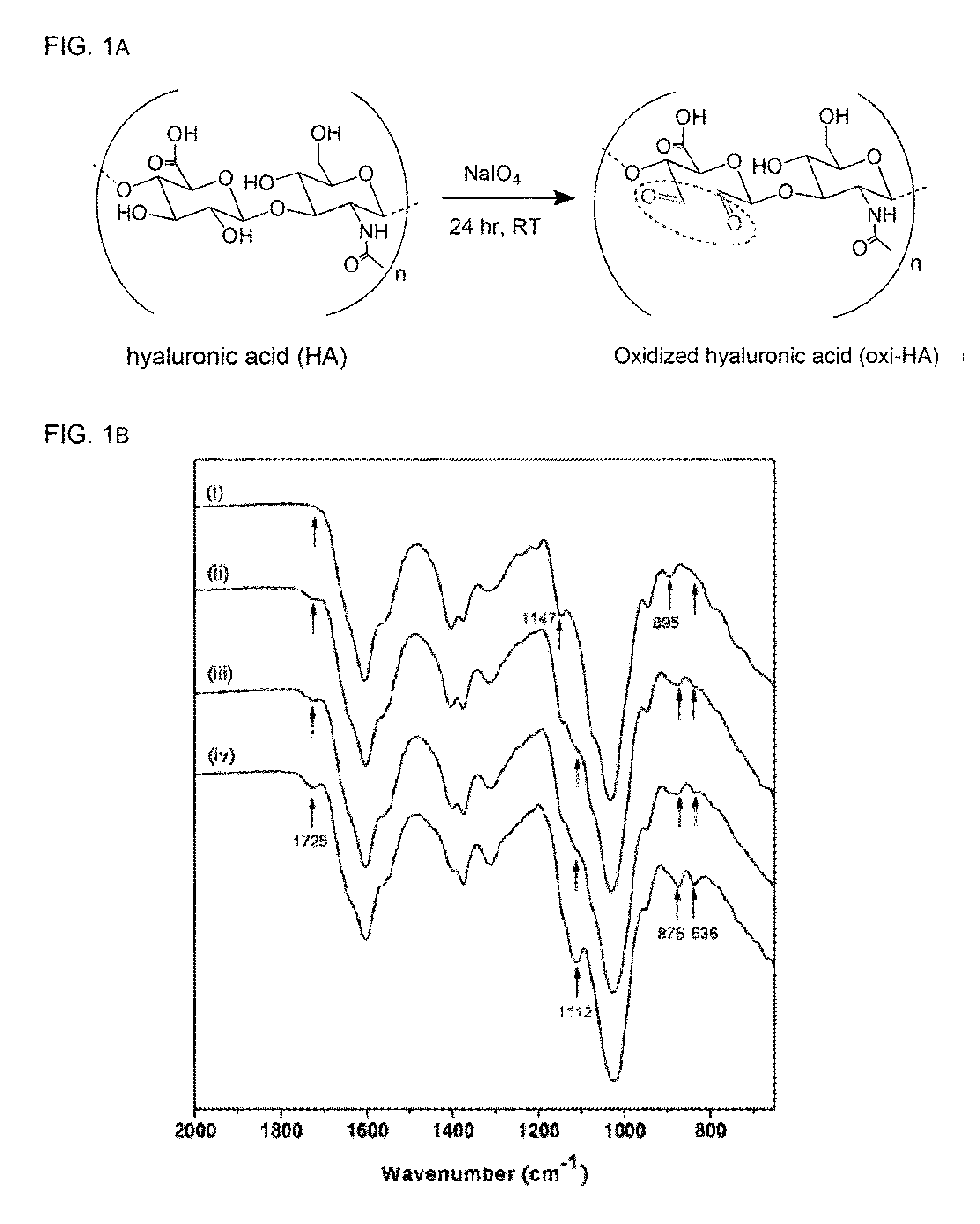 Cross-linked oxidated hyaluronic acid for use as a vitreous substitute