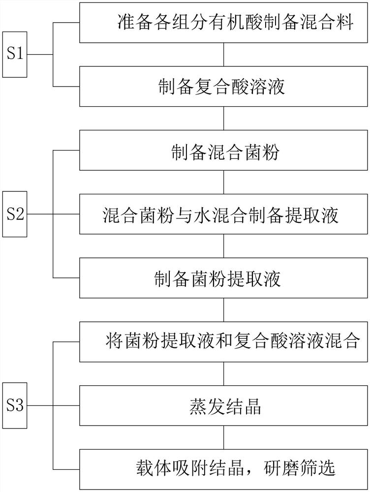 Preparation method of slow-release microbial acidifier for feed