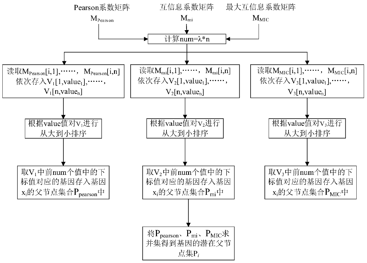 Method for constructing gene regulatory network based on structural prediction