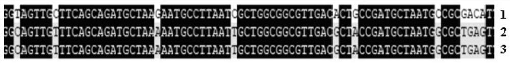 A kit for detecting antibody to Salmonella swine