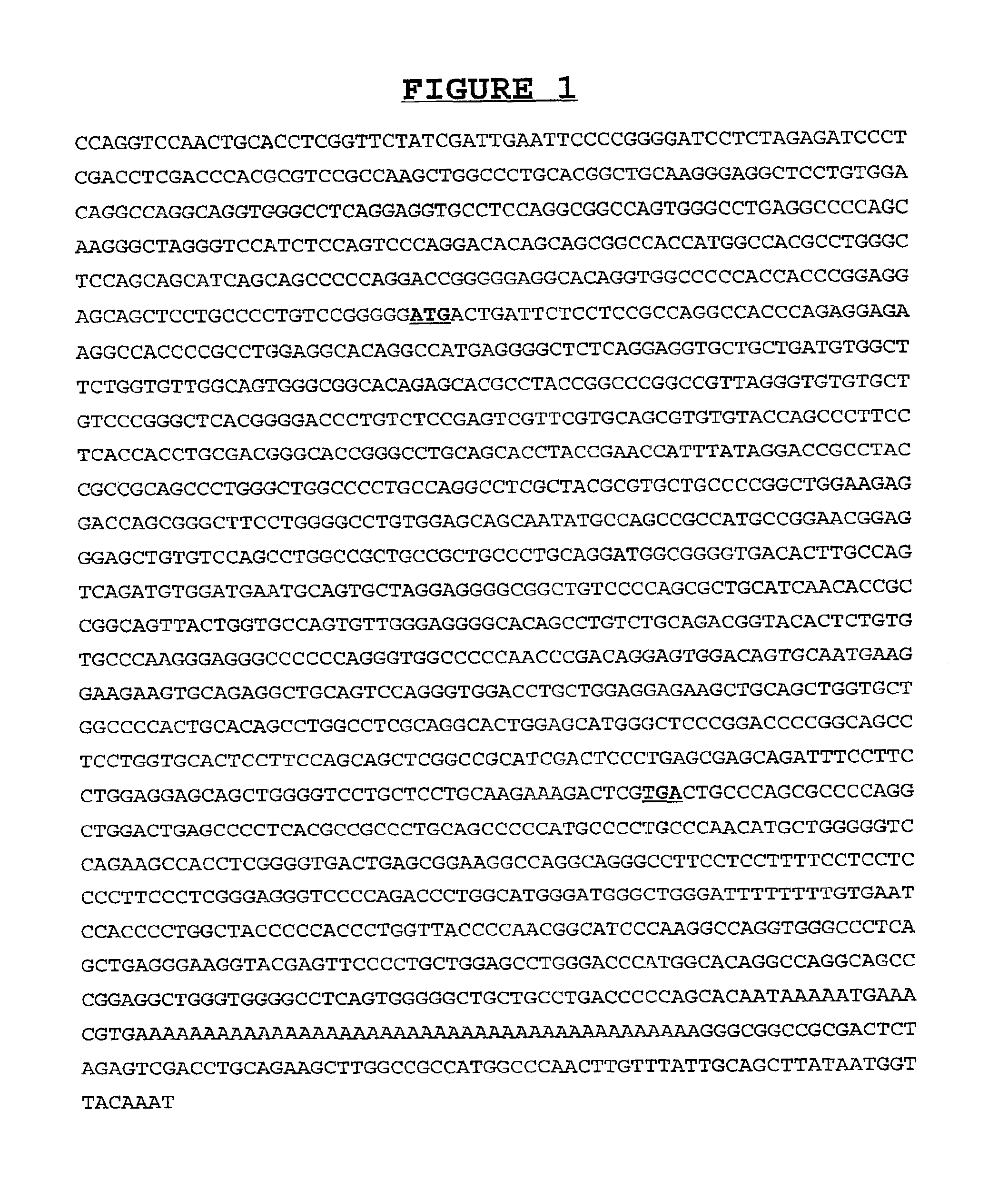 Nucleic acids encoding PRO615