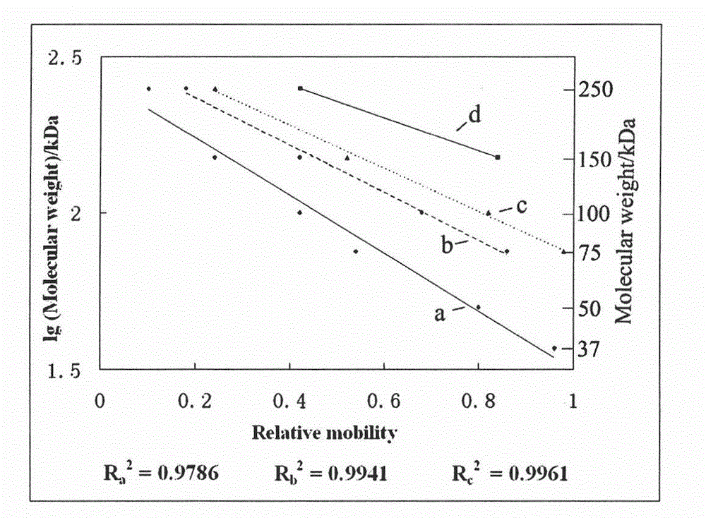 Method for separating, enriching and identifying macromolecular weight protein