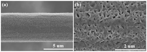 Preparation method for nickel hydroxide/polyether amine modified carbon fiber