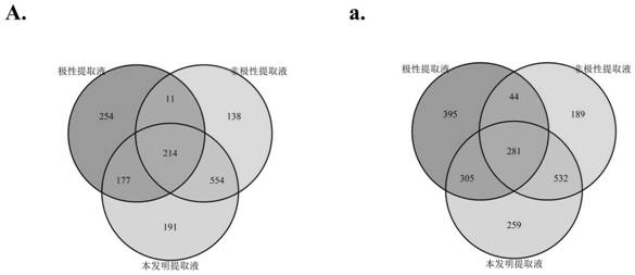 Sample preparation method for shrimp meat sample non-targeted metabonomics and non-targeted lipidomics research