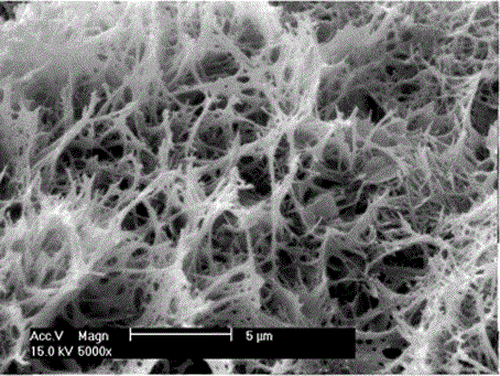 A self-growing aqueous phase phosphate adsorption material and its preparation method and application