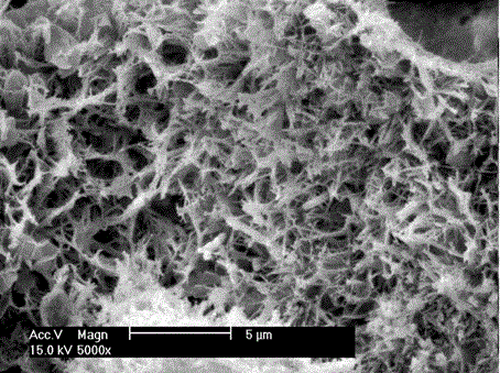 A self-growing aqueous phase phosphate adsorption material and its preparation method and application