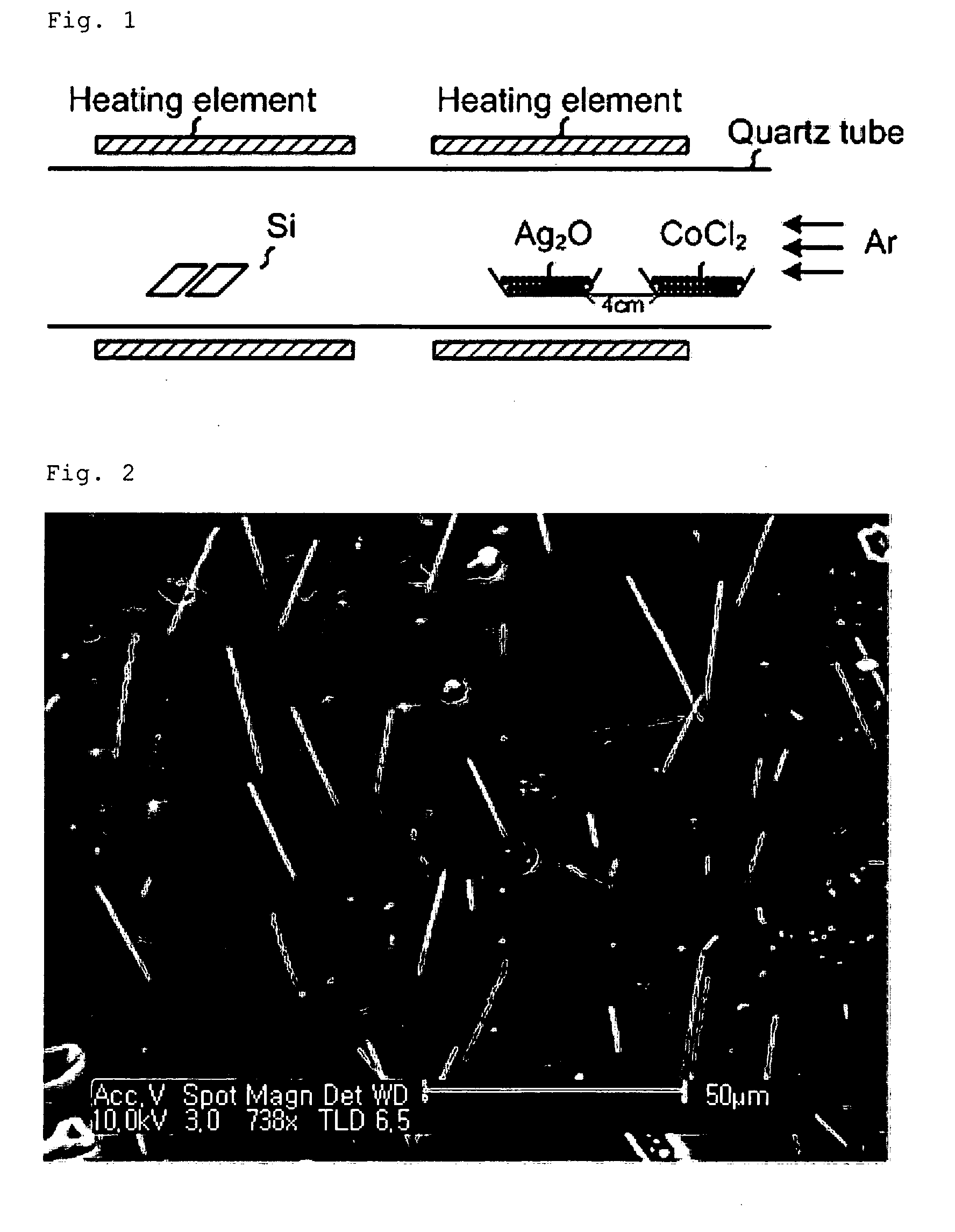 Binary alloy single-crystalline metal nanostructures and fabrication method thereof