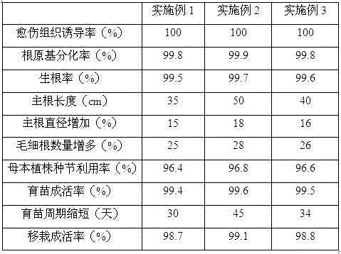 Seedling culturing substrate containing Chinese medicine residues and application of seedling culturing substrate in salt golden cypress bonsai seedling culturing