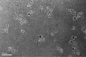 Target phospholipid covered fluorescent/nuclear magnetic dual-mode probe as well as preparation and application