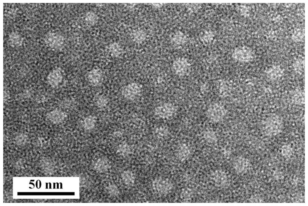 Extracellular release monoclonal antibody carrier and preparation method thereof