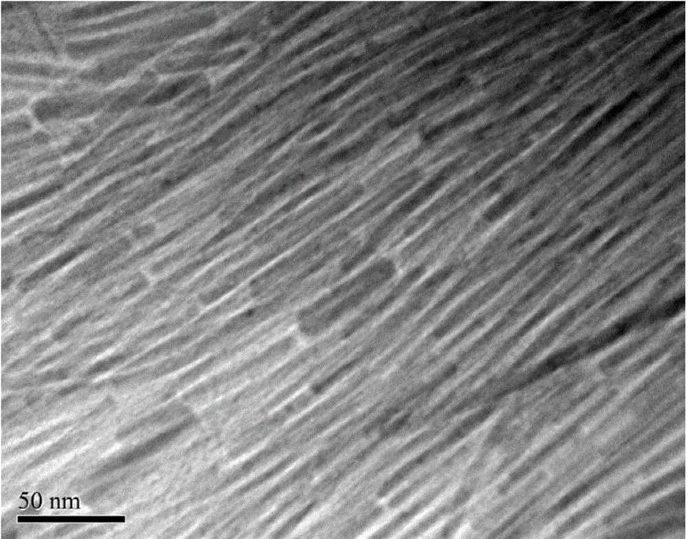 Preparation method of iron oxide nanowire