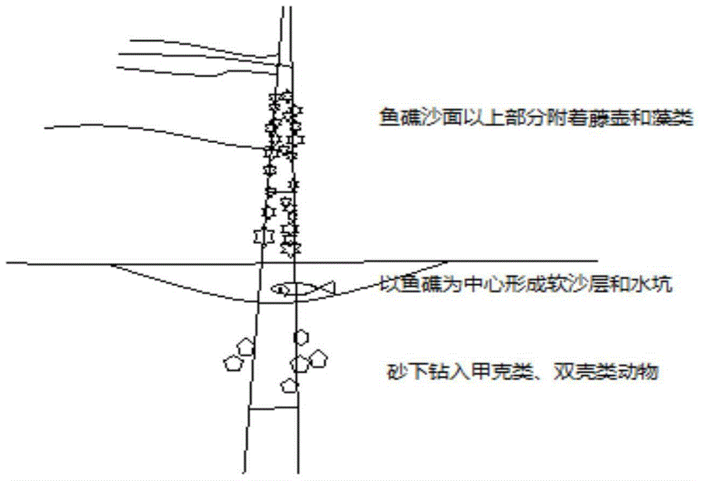 Artificial fish reef construction method based on sandy tidal flats in intertidal waters of estuaries