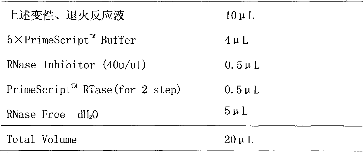 Duck-origin coronavirus N protein gene, clone method and application thereof