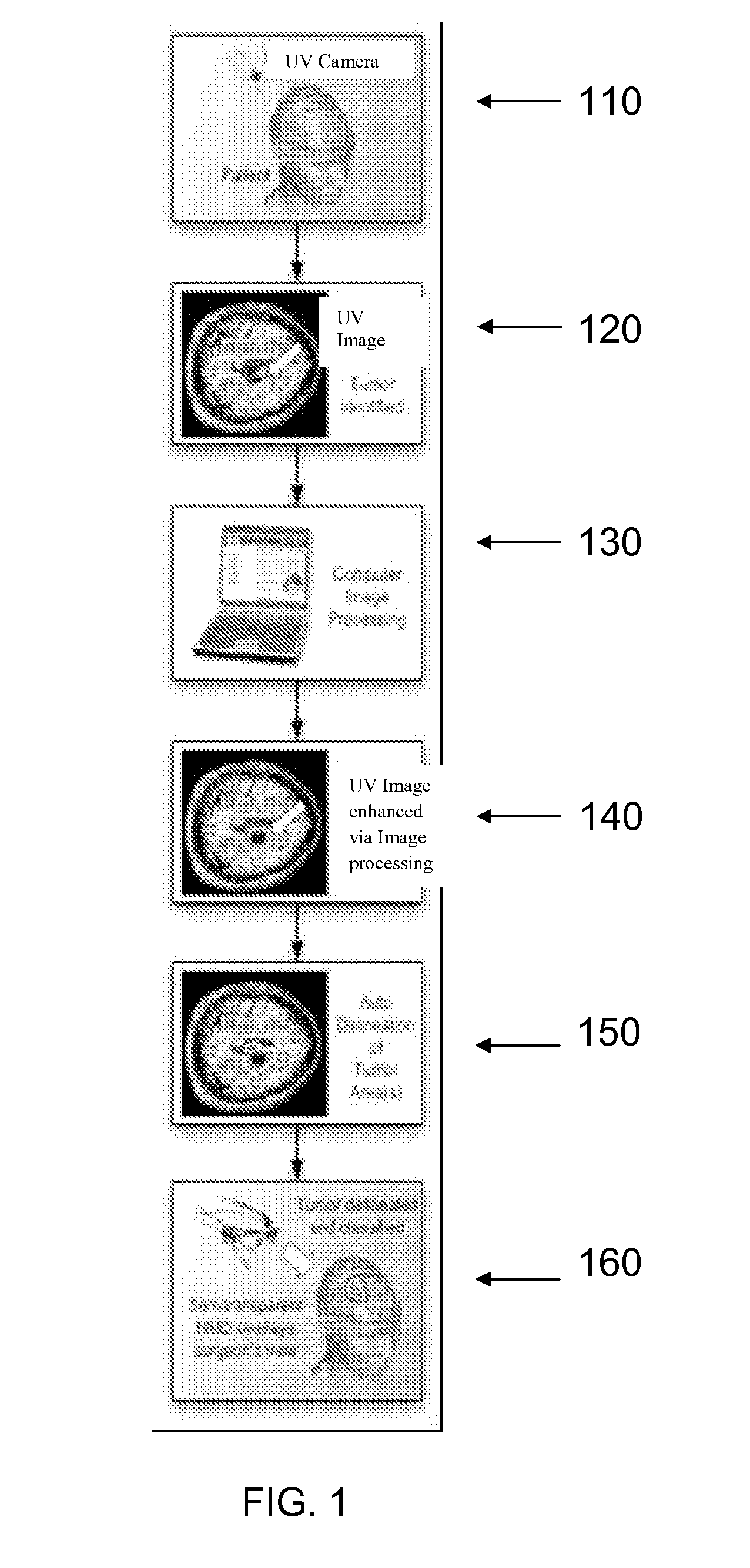 UV imaging for intraoperative tumor delineation