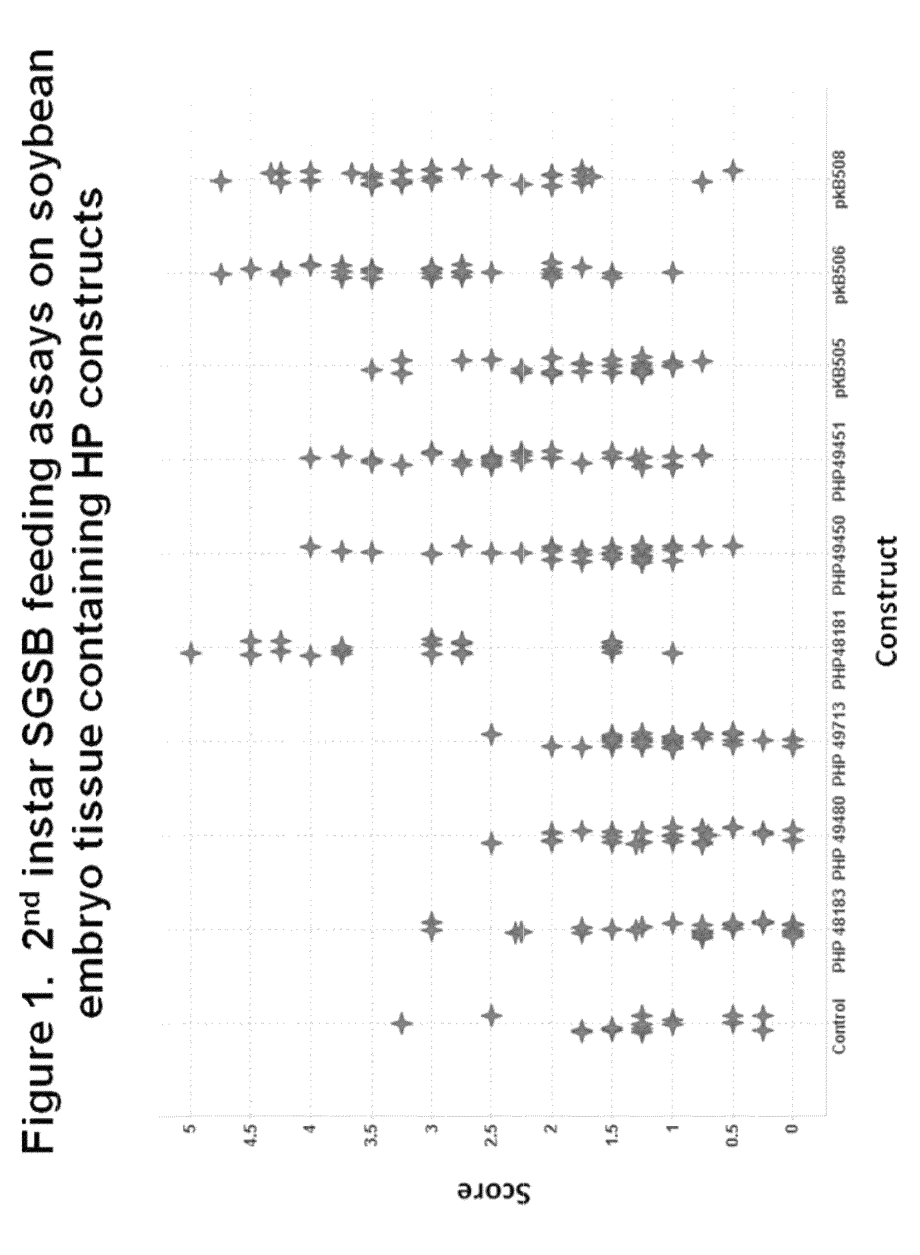 Compositions and methods for insecticidal control of stinkbugs