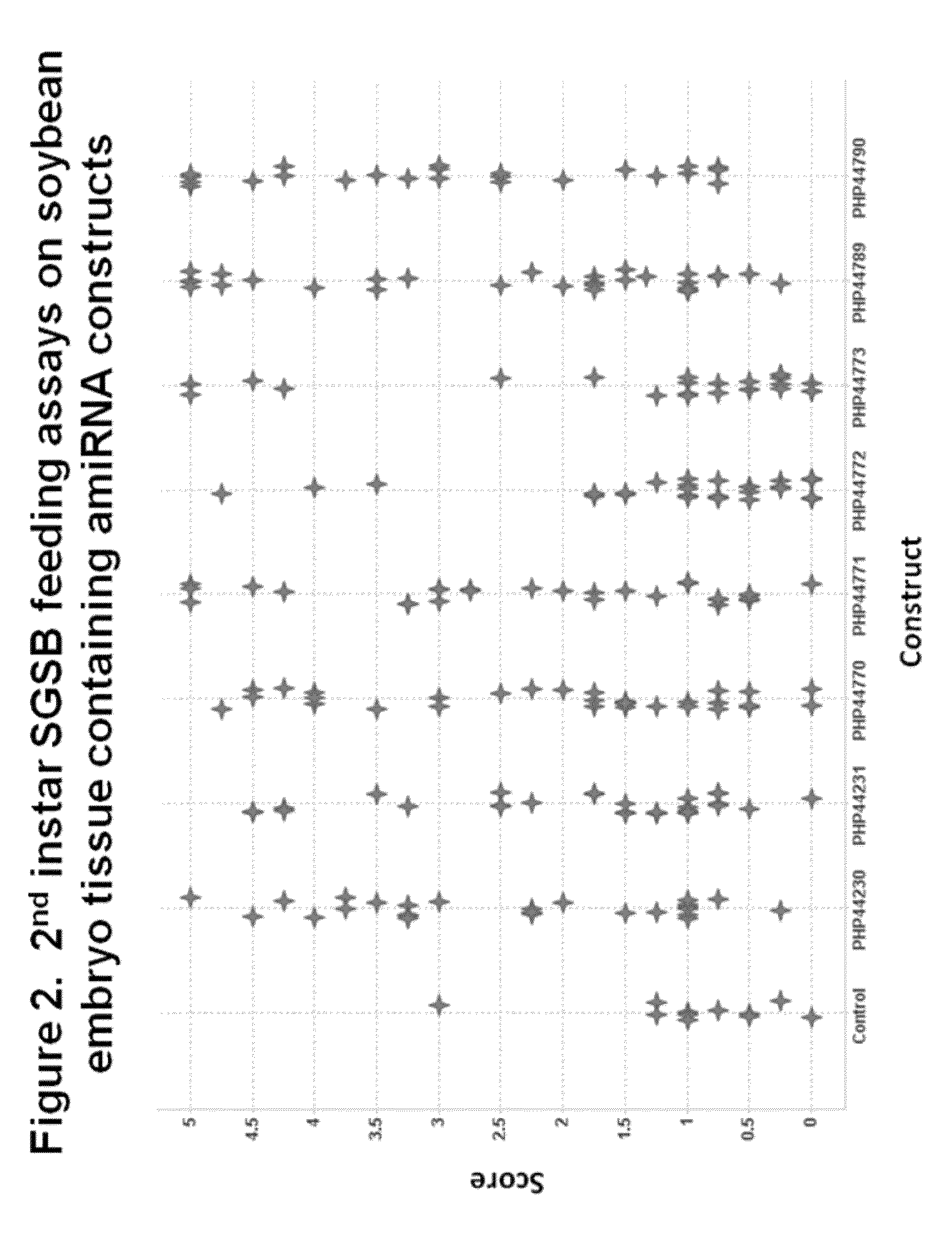 Compositions and methods for insecticidal control of stinkbugs