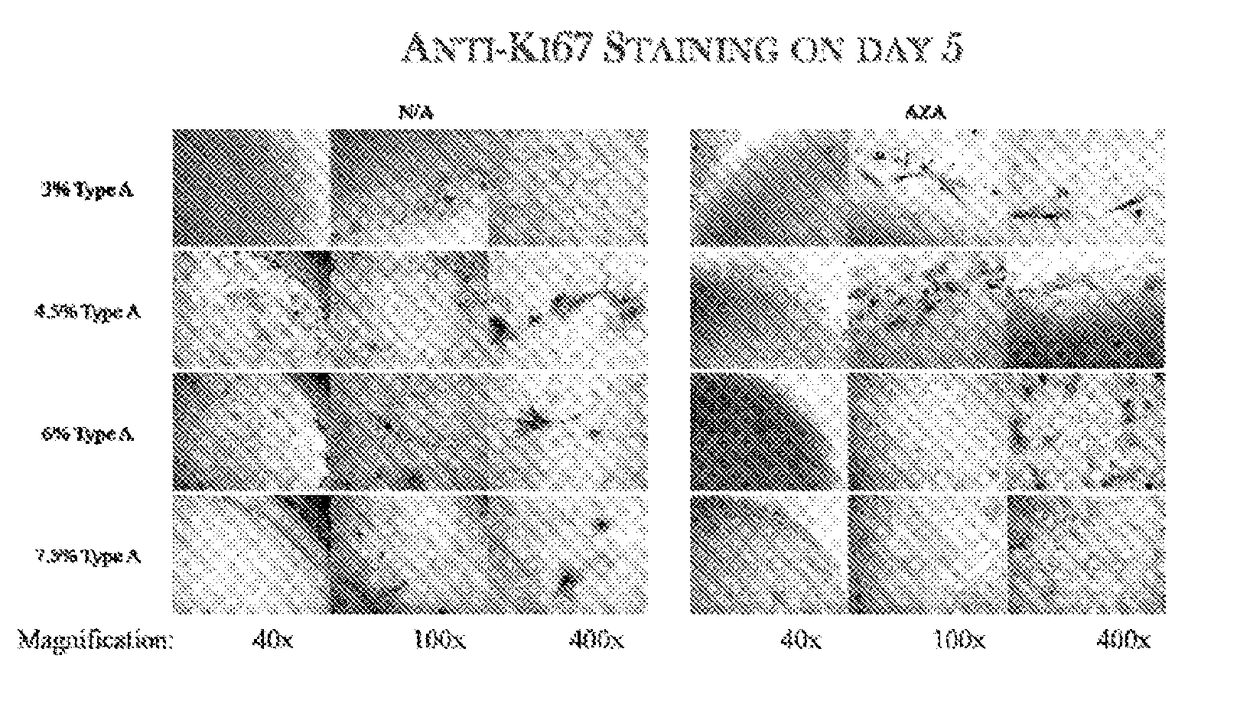 Functional scaffold for tissue repair and regeneration