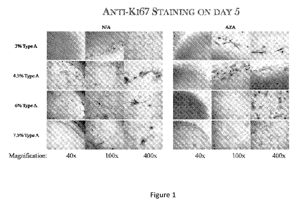 Functional scaffold for tissue repair and regeneration