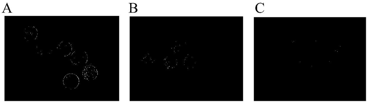 Vitrification refrigerating liquid and refrigerating method thereof