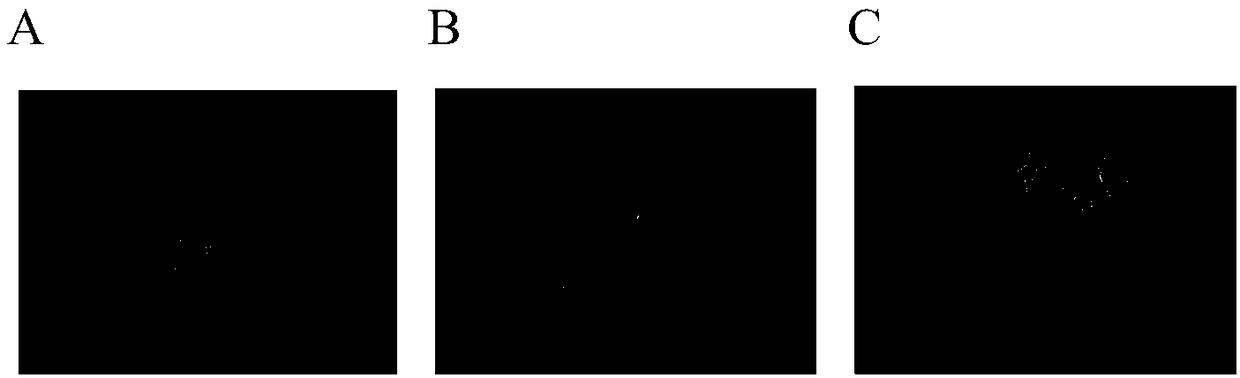 Vitrification refrigerating liquid and refrigerating method thereof